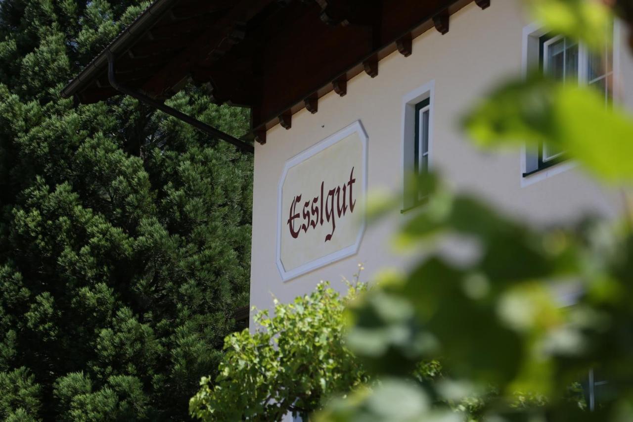 Appartments Am Esslgut Haus im Ennstal Kültér fotó